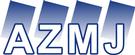AZMJ IT Solutions Inc.